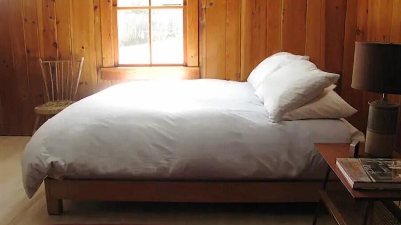 Photo of Others in Town of Olive