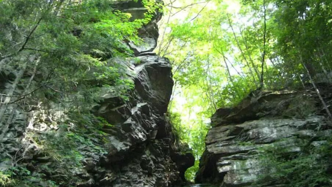 Photo of Outdoor in Town of Olive