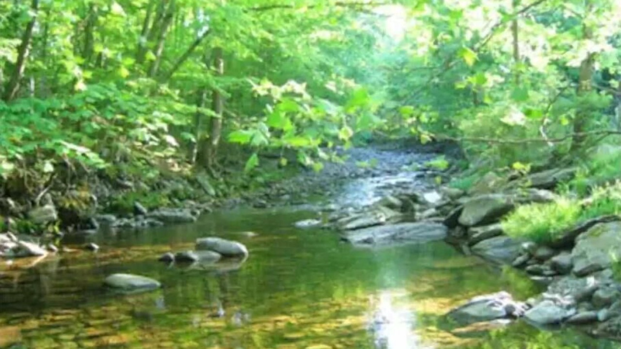 Photo of Outdoor in Town of Olive