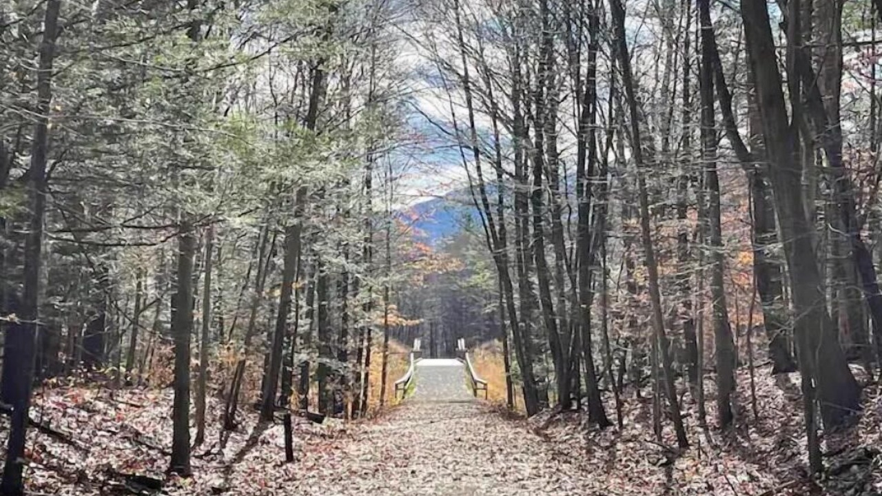 Photo of Outdoor in Town of Olive