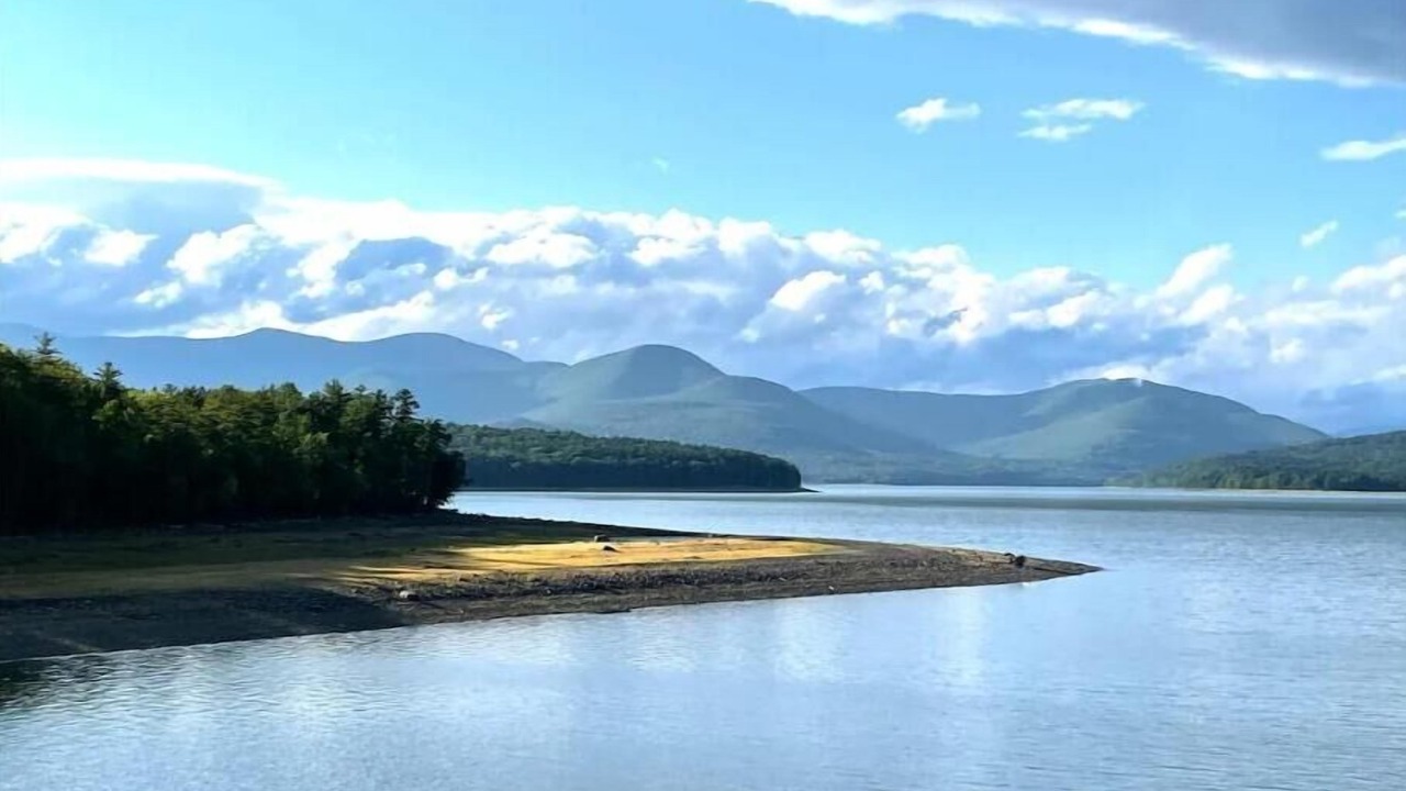 Photo of Others in Town of Olive