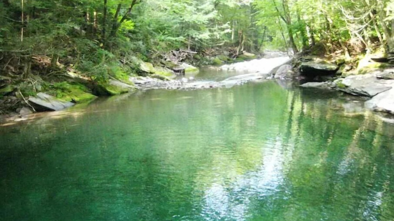 Photo of Others in Town of Olive