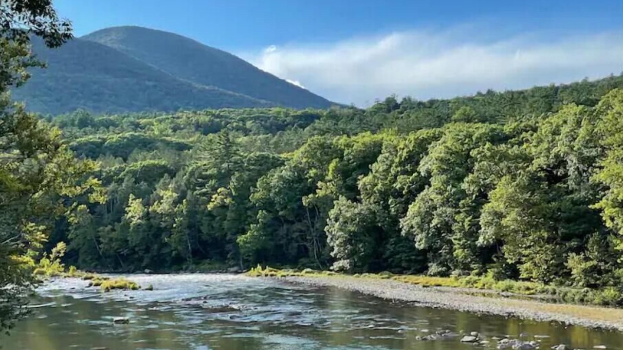 Photo of Others in Town of Olive