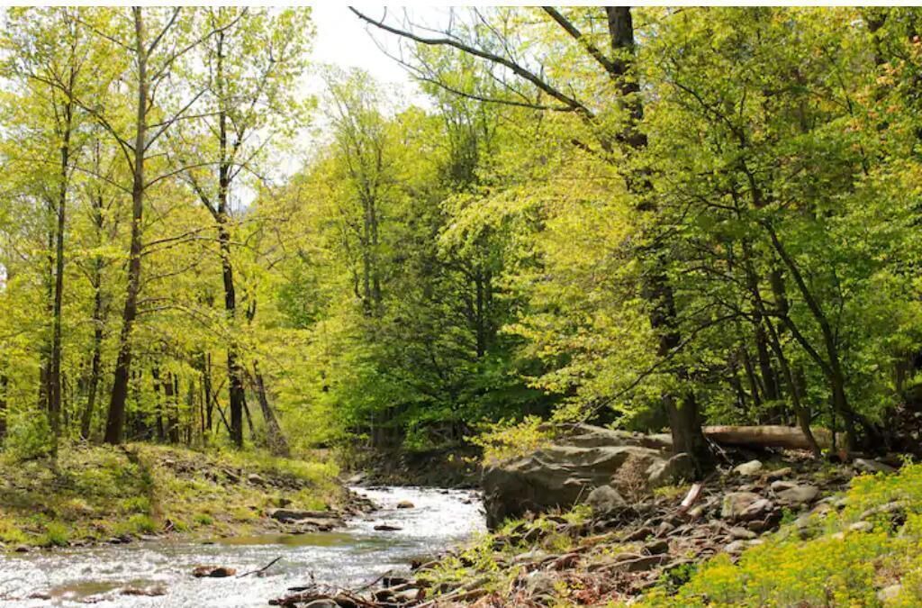 Photo of Others in Town of Olive