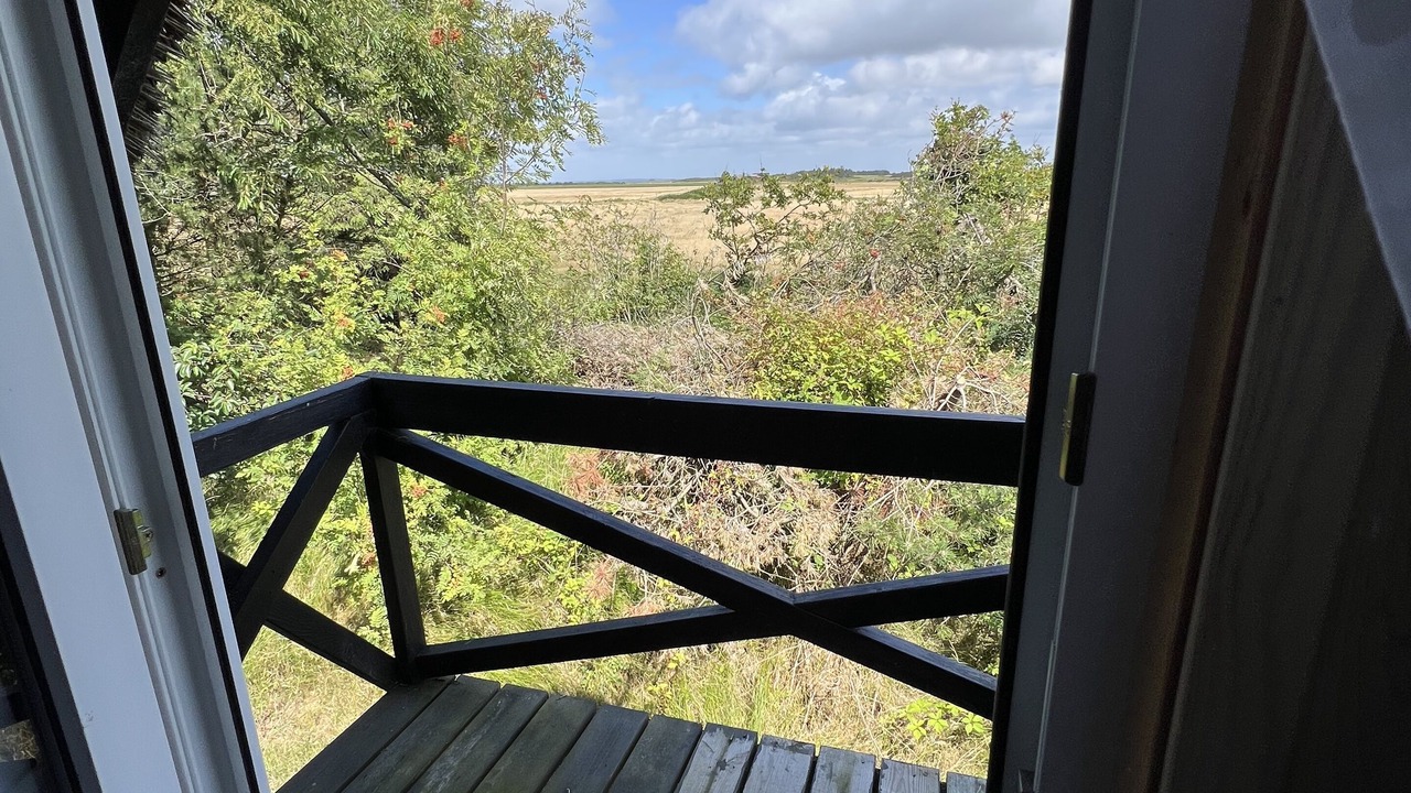 Photo of Outdoor in Lodbjerg Hede
