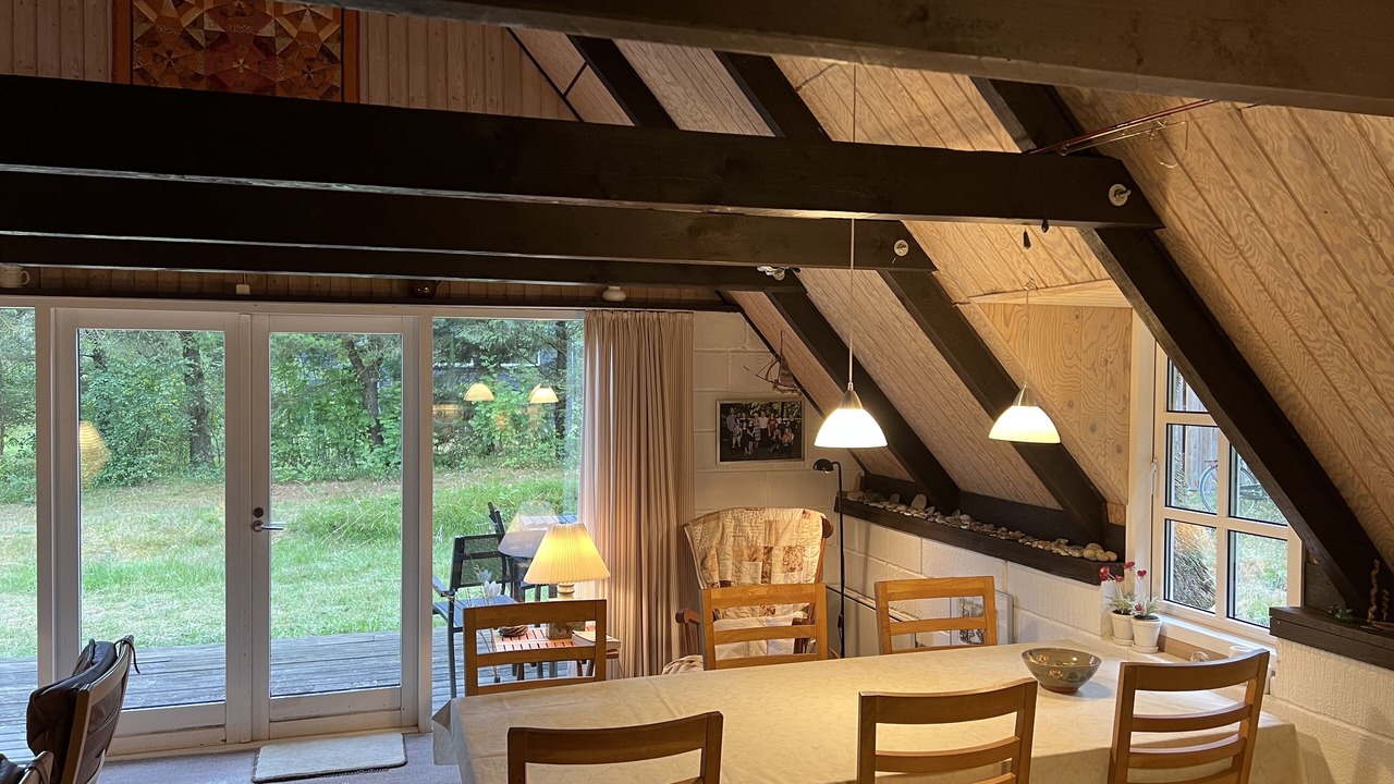 Photo of Others in Lodbjerg Hede
