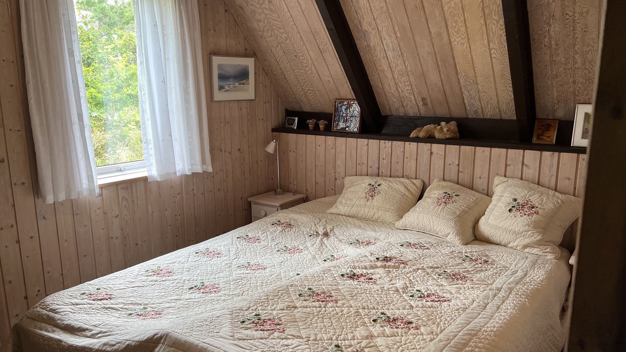 Photo of Others in Lodbjerg Hede