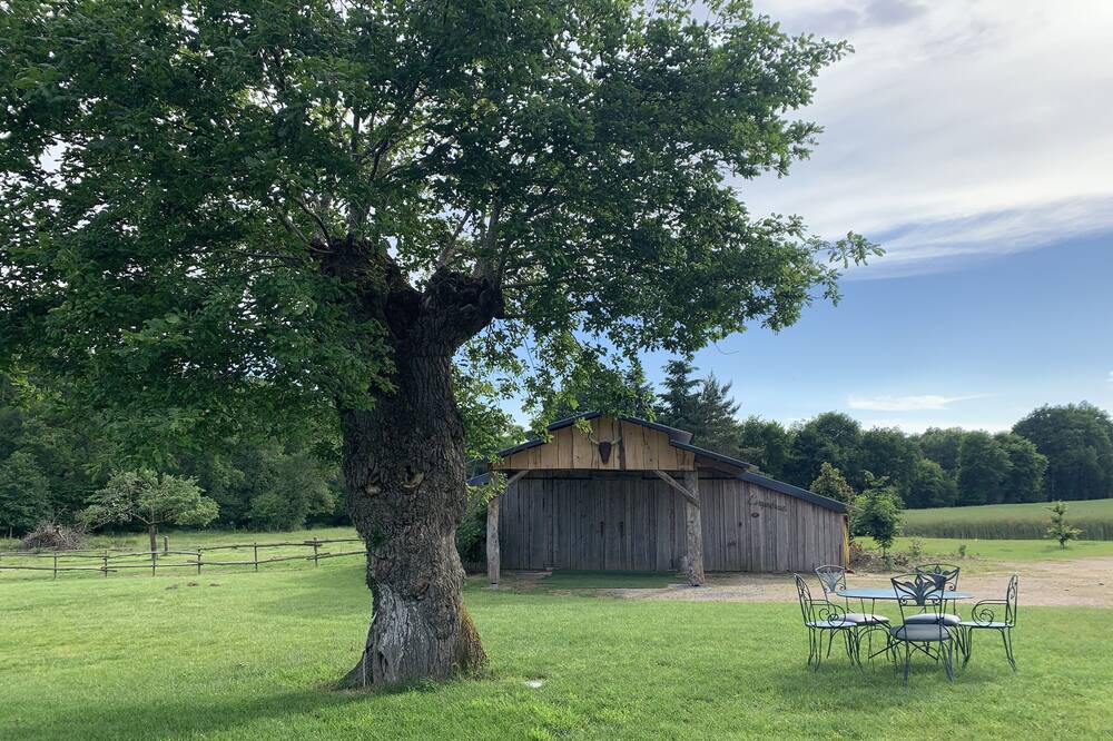 Photo of Outdoor in Allaire