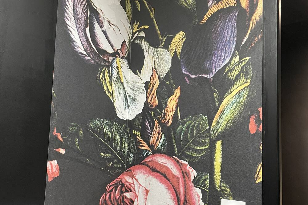 Photo of Others in Allaire