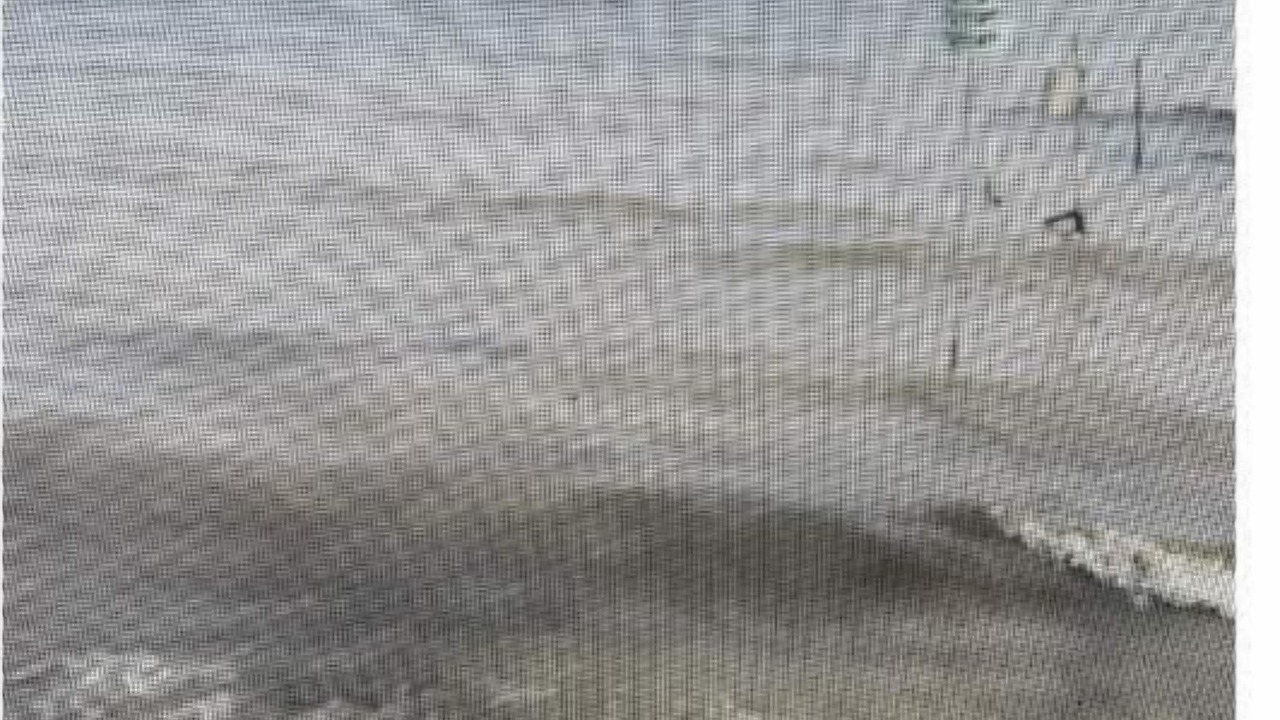 Photo of Others in Geneva