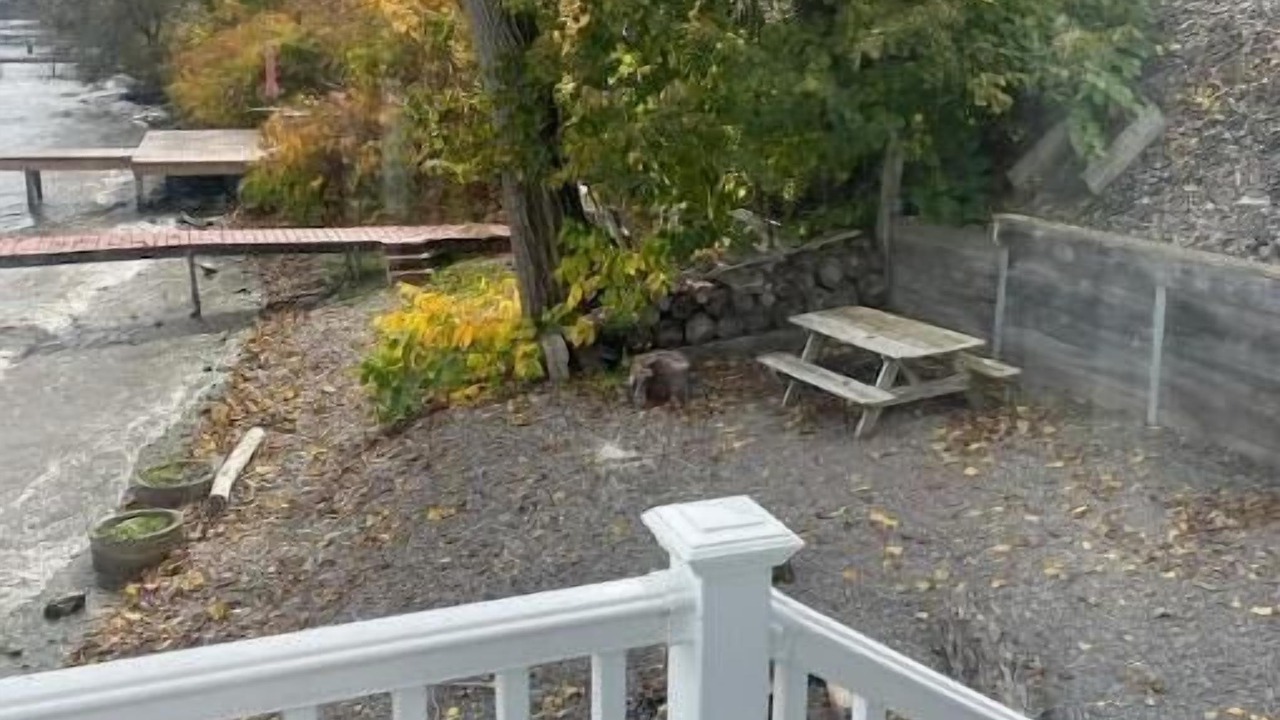 Photo of Outdoor in Geneva