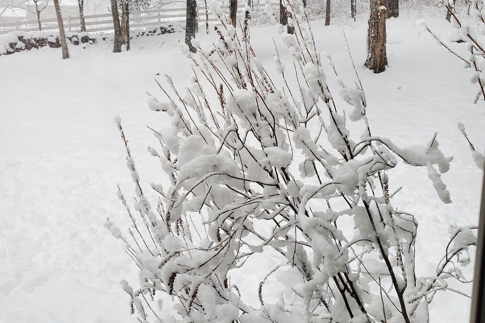 Photo of Others in Hebron
