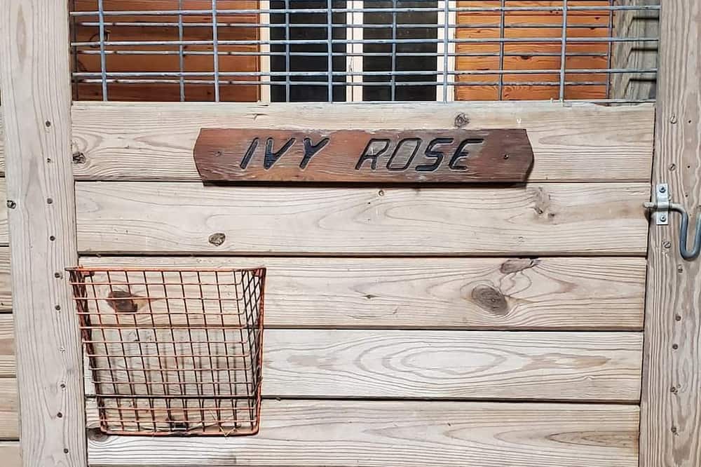 Photo of Outdoor in Hebron