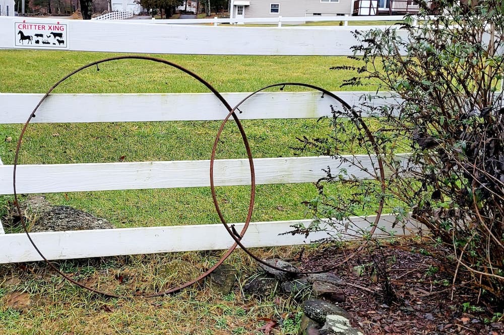 Photo of Outdoor in Hebron