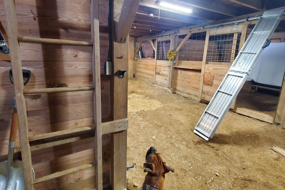 Photo of Others in Hebron