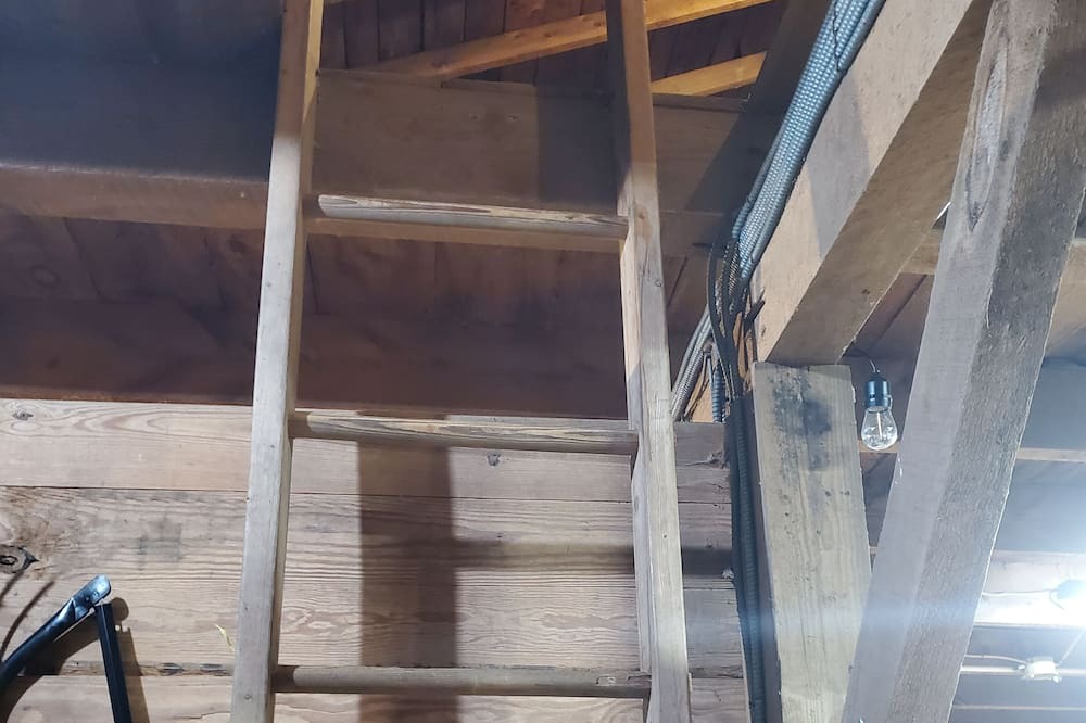 Photo of Others in Hebron