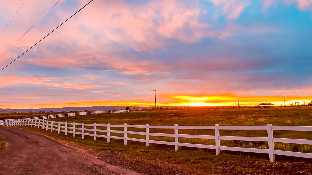 Photo of Others in Joseph