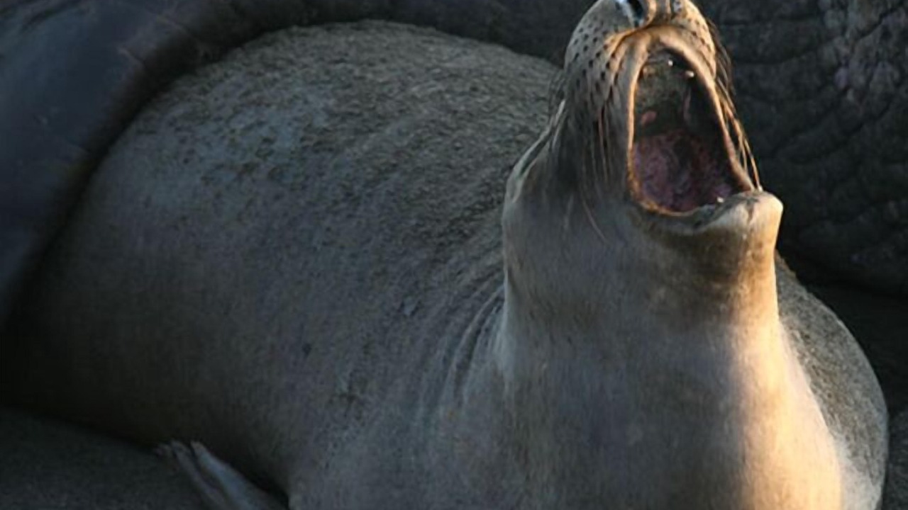 Photo of Outdoor in Lucia