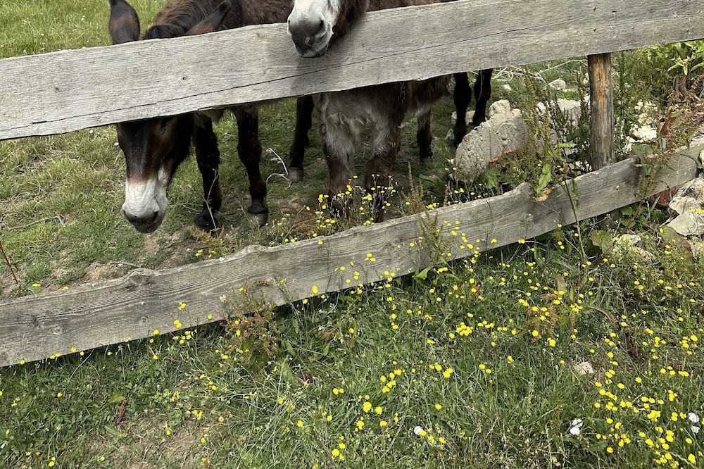 Photo of Others in Beauvilliers