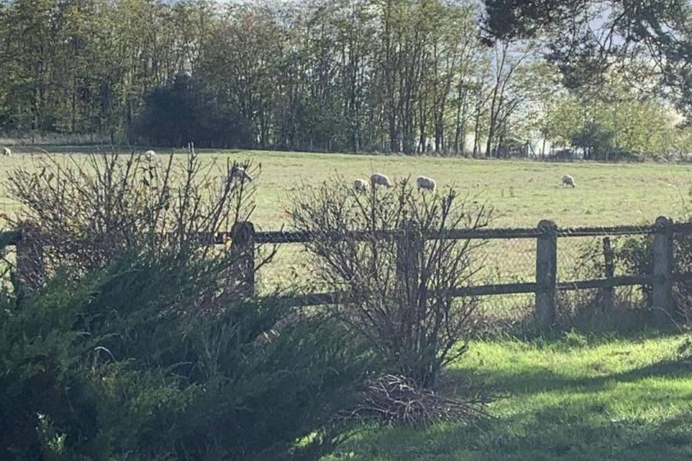 Photo of Outdoor in Avermes
