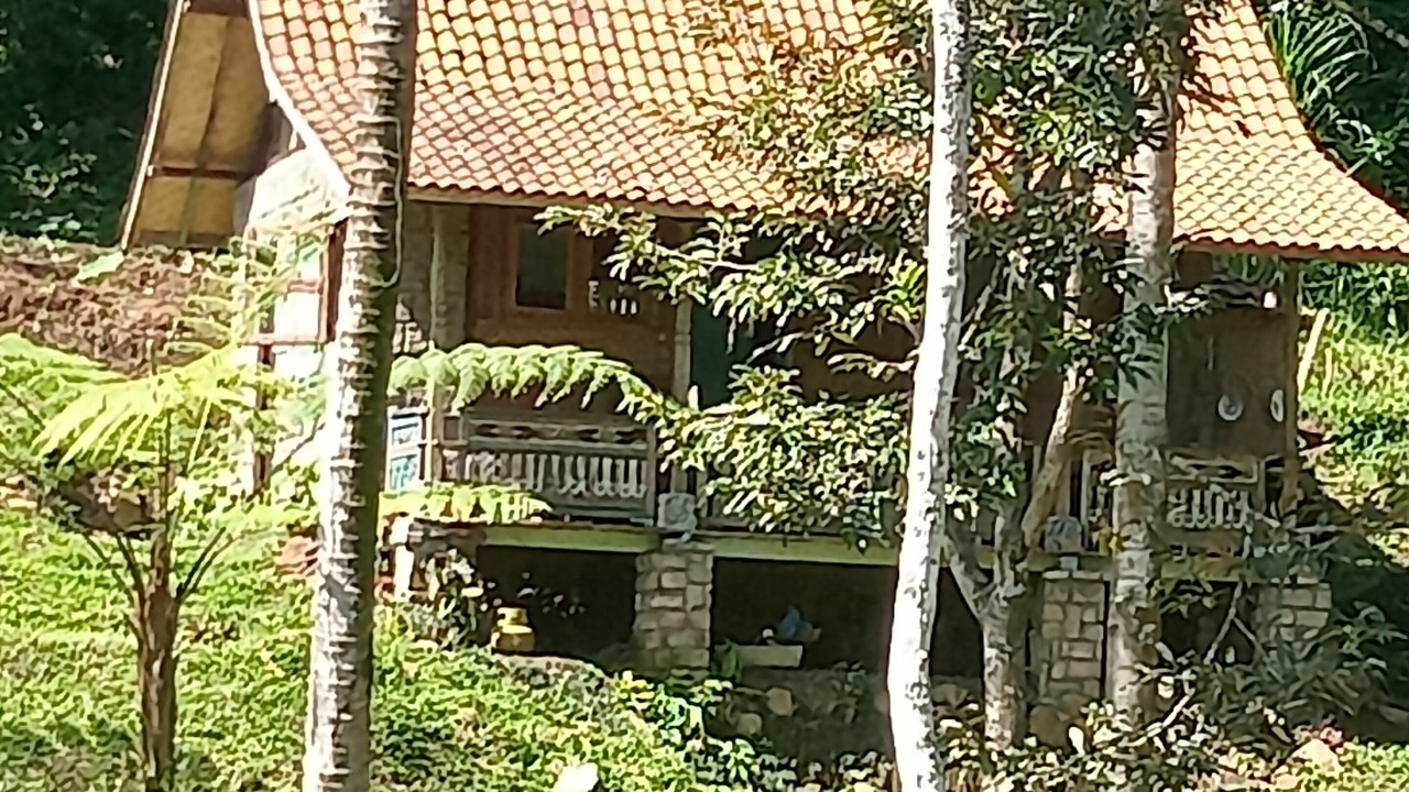 Photo of Others in Wongaya Gede