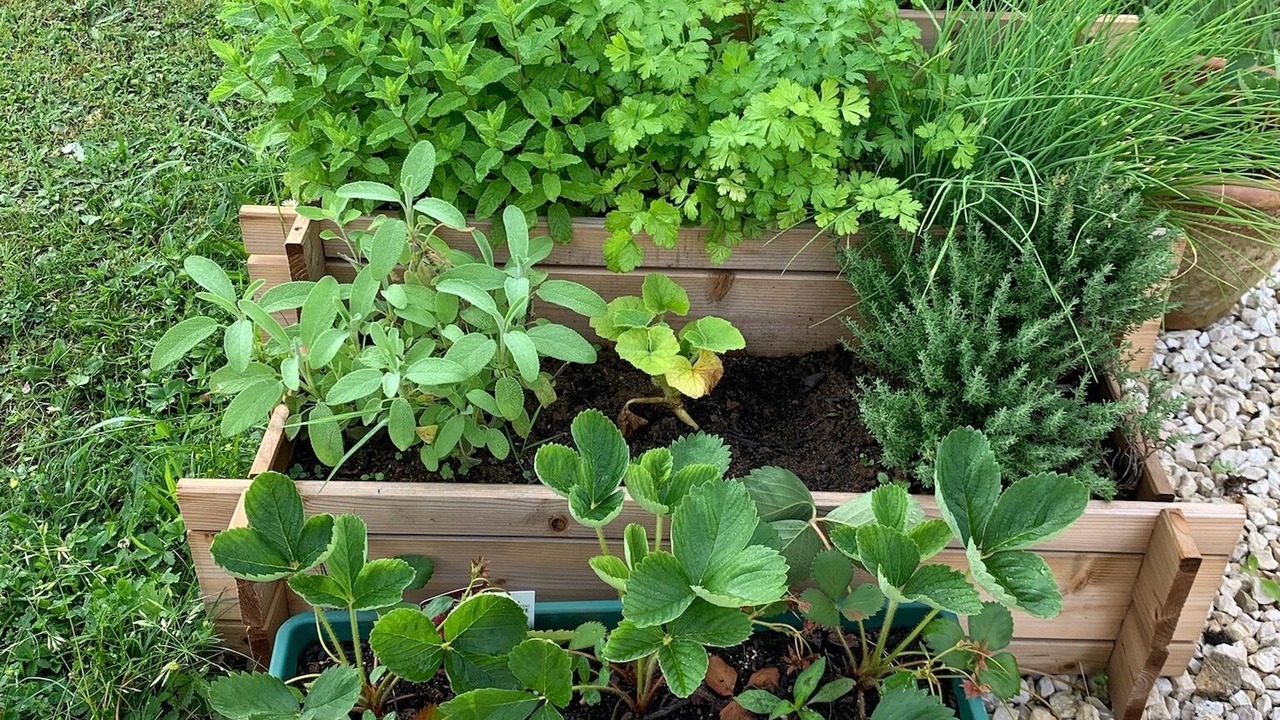 Photo of Outdoor in Biron