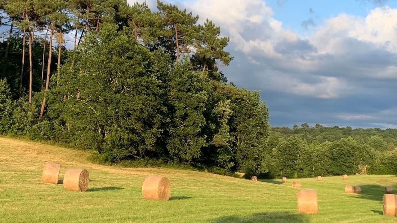 Photo of Outdoor in Biron