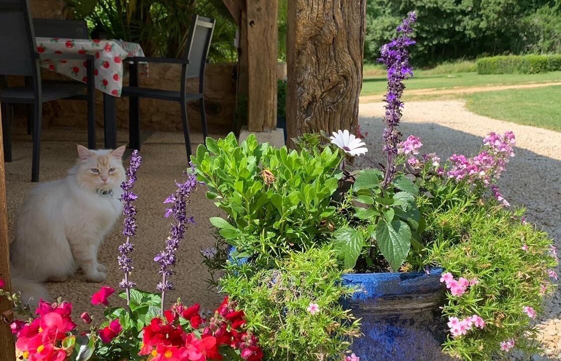 Photo of Outdoor in Biron