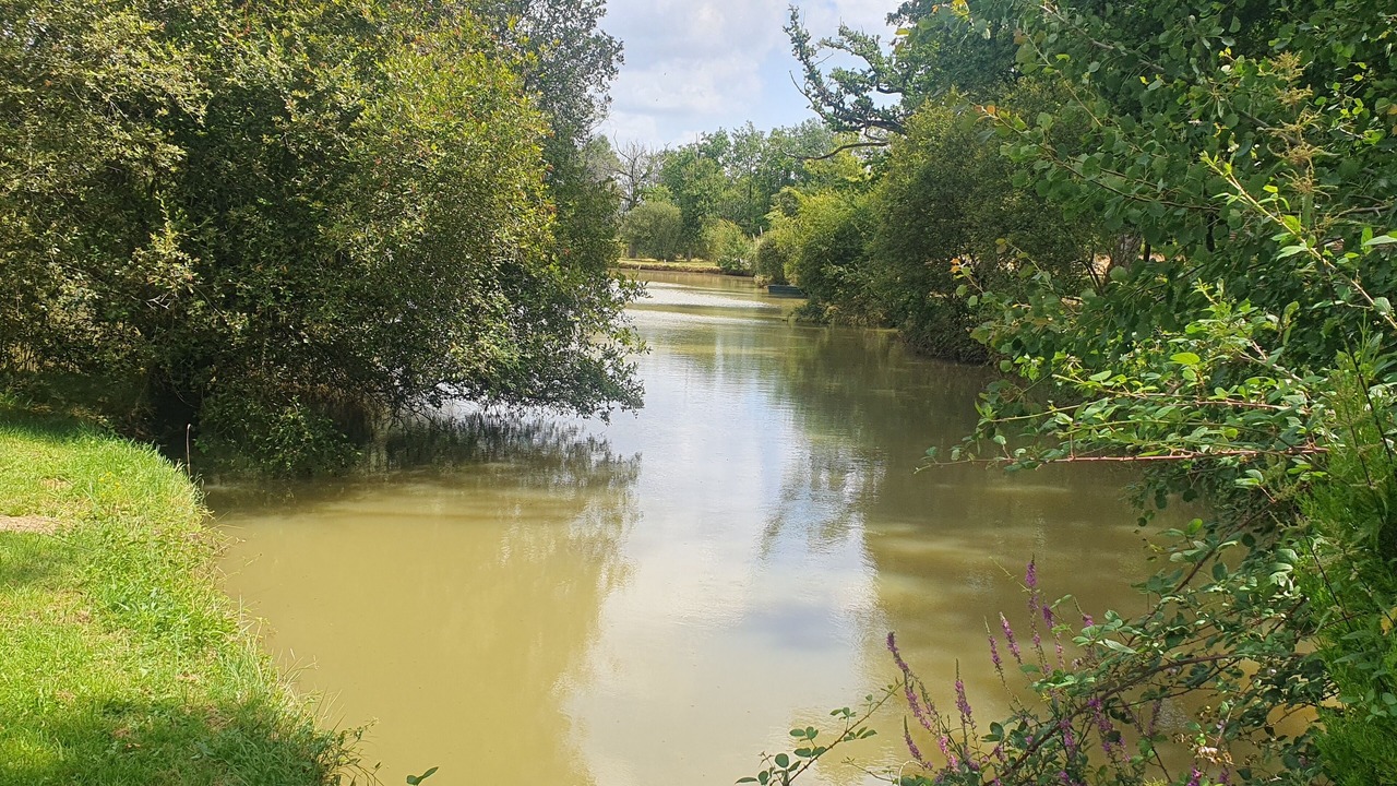 Photo of Outdoor in Chaillac