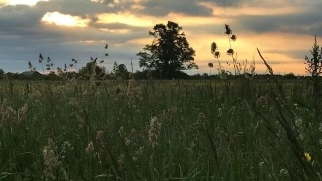 Photo of Outdoor in Chaumont