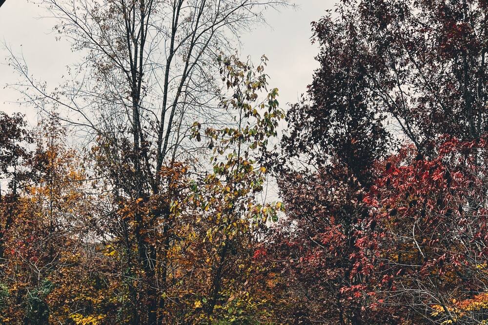 Photo of Outdoor in Gallipolis Ferry
