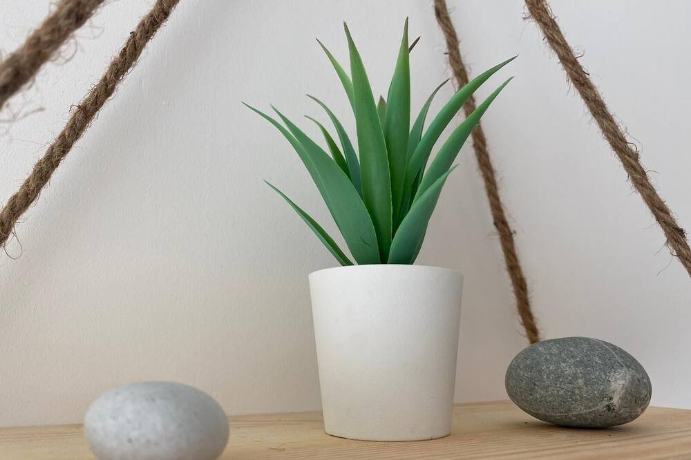 Photo of Others in Bollee