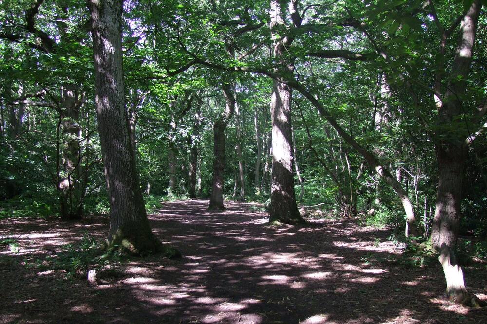 Photo of Others in Layer de la Haye