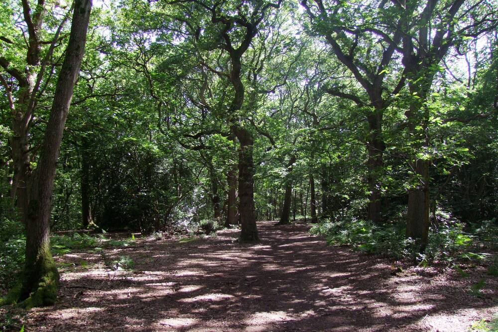 Photo of Others in Layer de la Haye