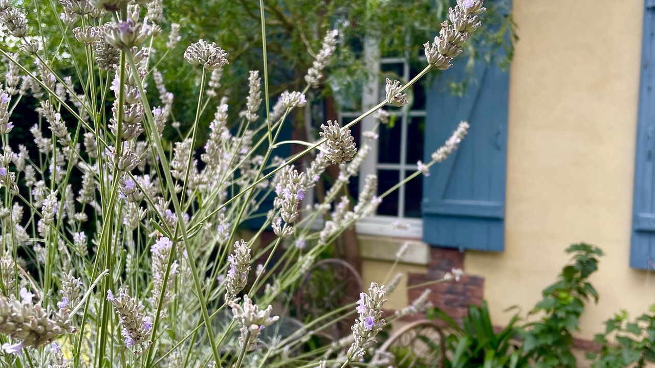 Photo of Outdoor in Berville-sur-Mer