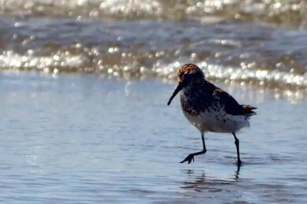 Photo of Outdoor in Ocean Park