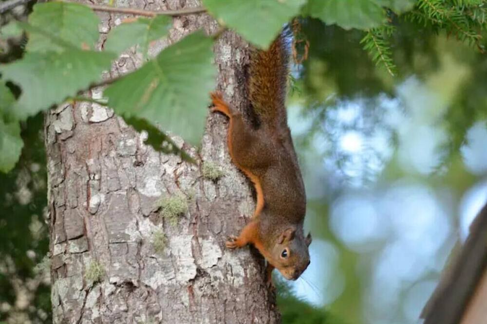 Photo of Others in Ocean Park