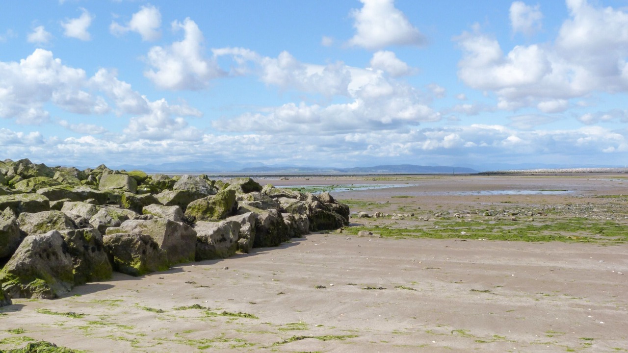 Photo of Others in Arnside
