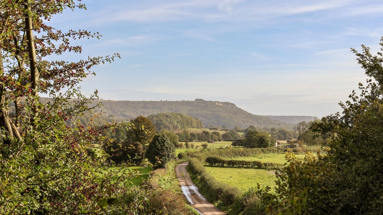 Photo of Others in Scawton