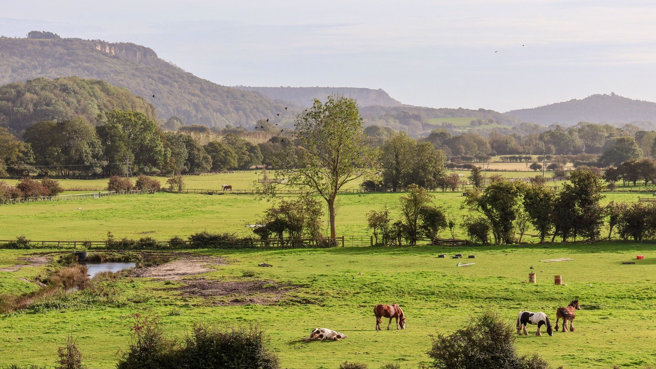 Photo of Others in Scawton
