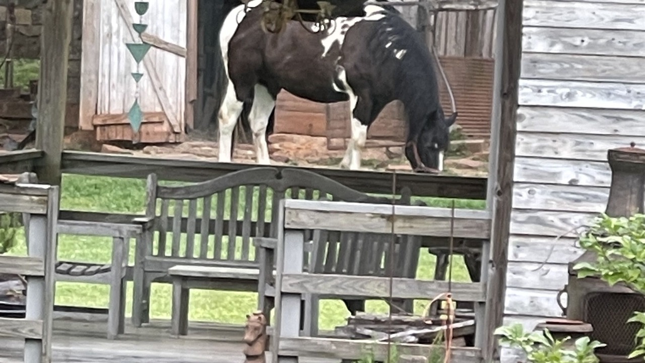 Photo of Outdoor in Lafayette