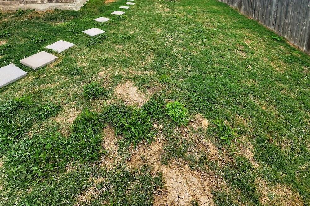 Photo of Outdoor in Belton