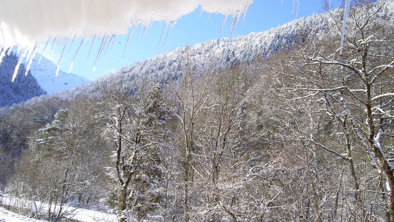 Photo of Others in Bagneres-de-Luchon