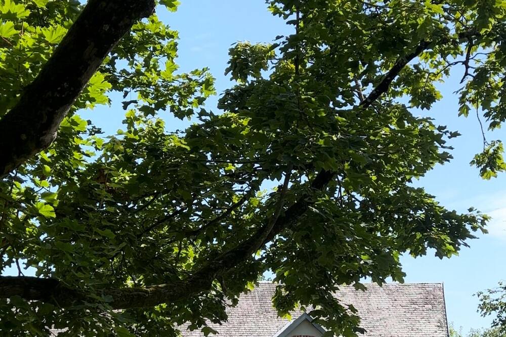 Photo of Outdoor in Gavray