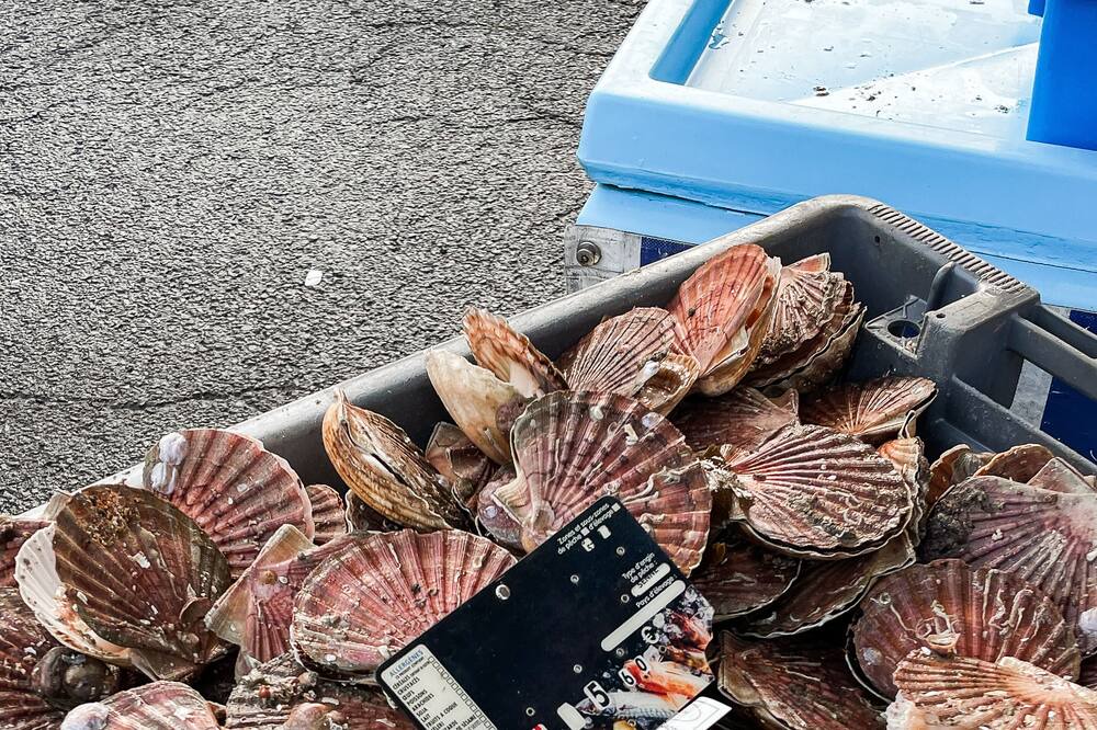 Photo of Others in Gavray