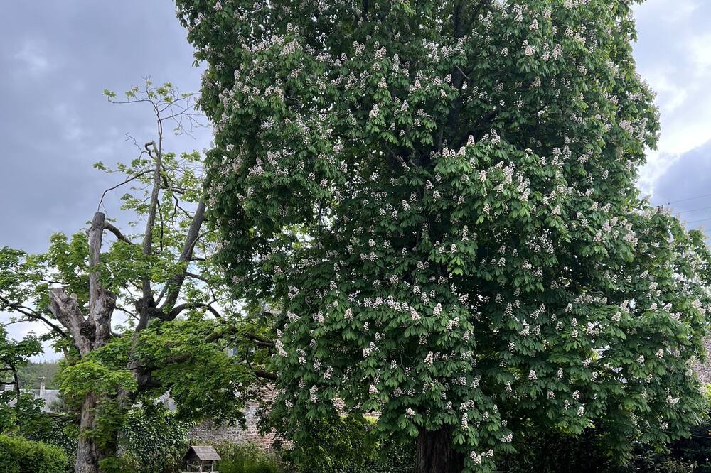 Photo of Outdoor in Gavray