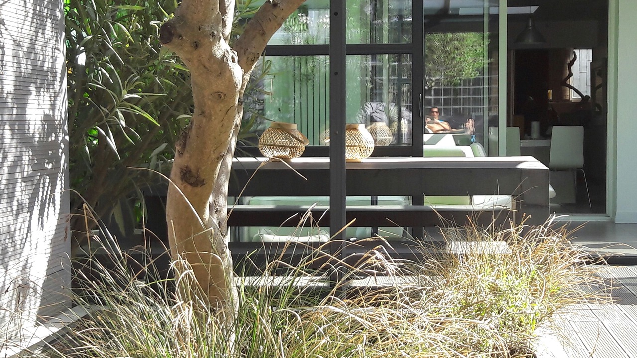 Photo of Outdoor in Arcueil
