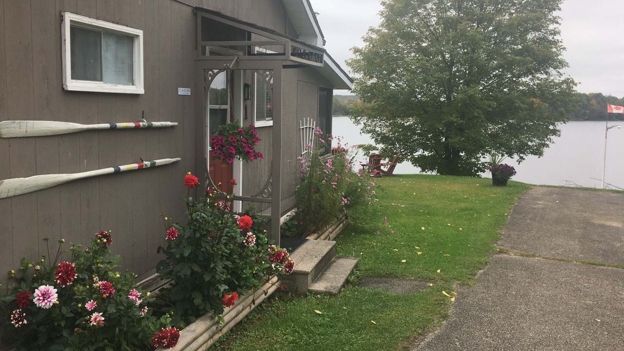 Photo of Outdoor in Lyndhurst