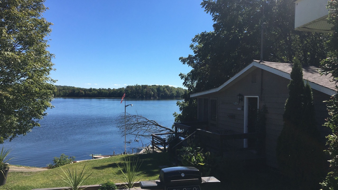Photo of Outdoor in Lyndhurst