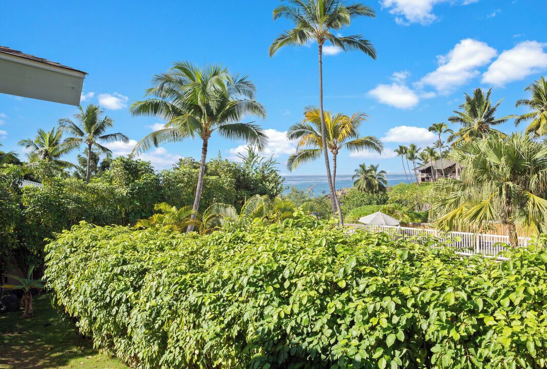 Photo of Outdoor in Keauhou